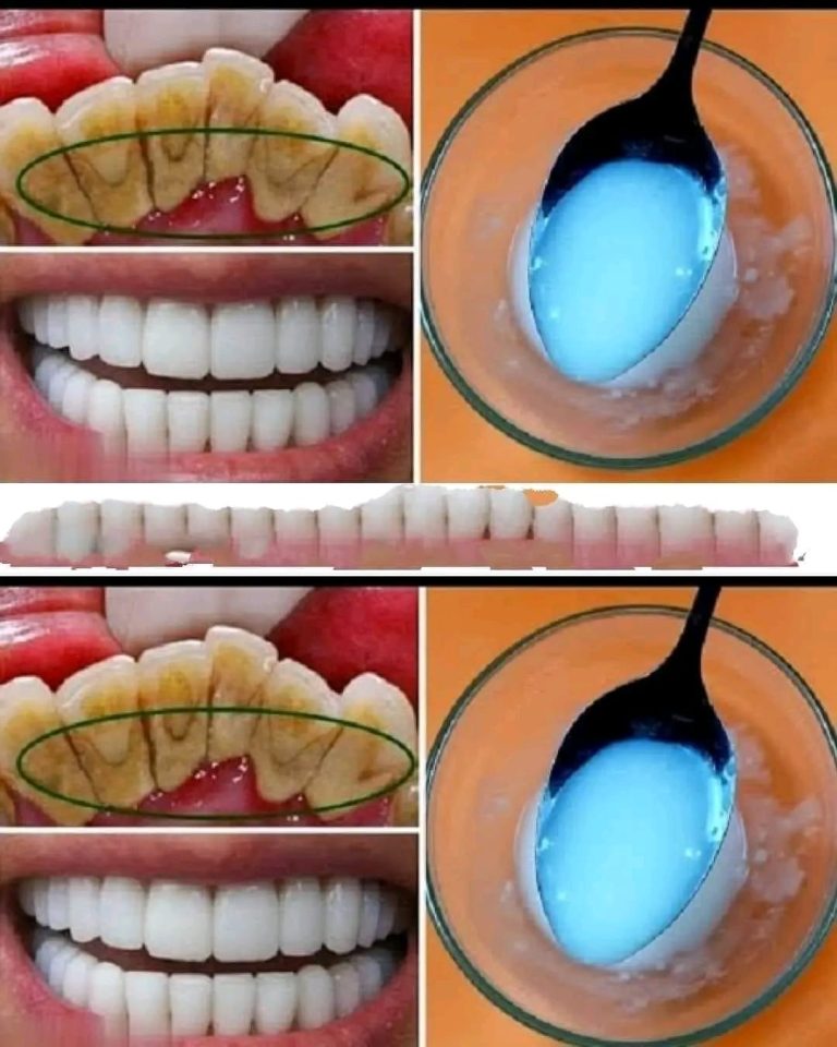 436449475 449548794259152 4751168234515967469 N 768x960 (2)