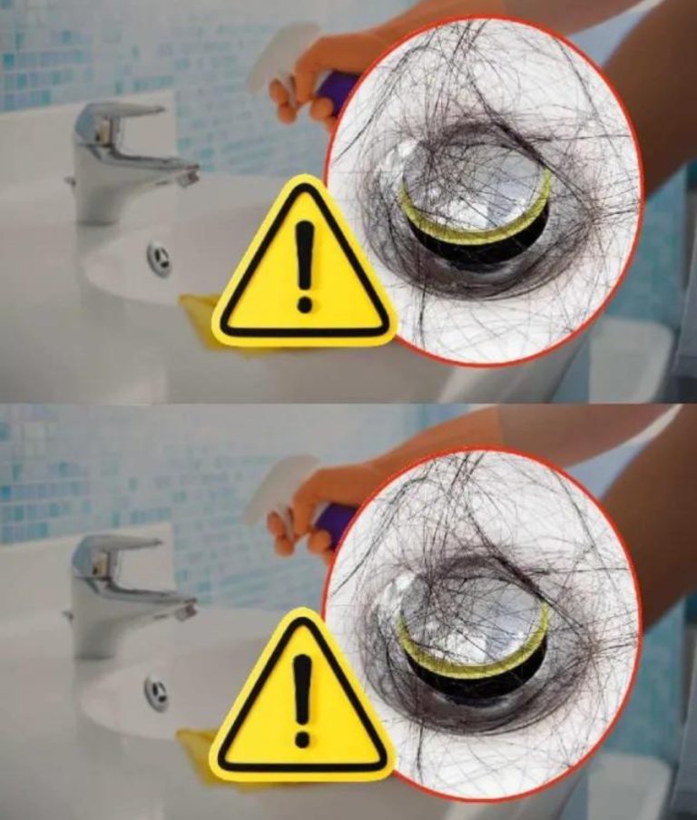 443696485 473696245177740 2485867169610110175 N 768x904