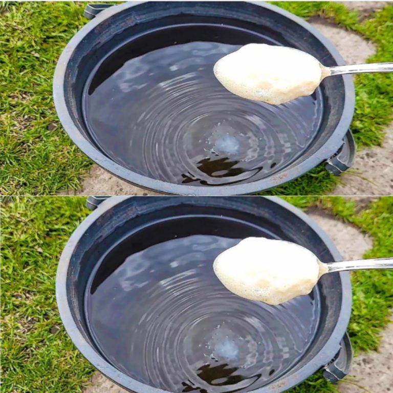 450793873 1764210590779149 2668335156846041362 N 768x768