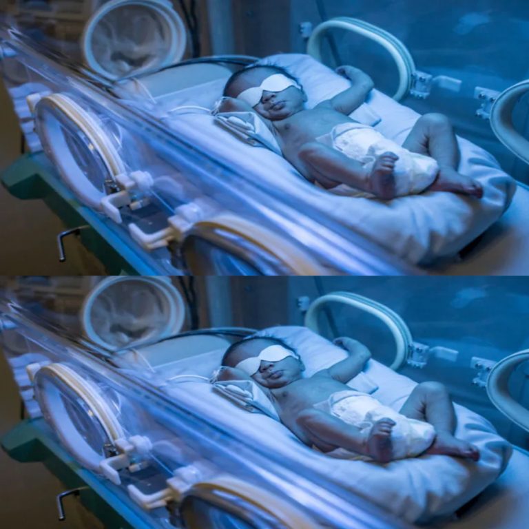 453029596 122222295512003544 2760401022497899566 N 1 768x768