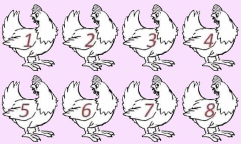 453215979 1772705759929632 5845210952662068859 N 768x461