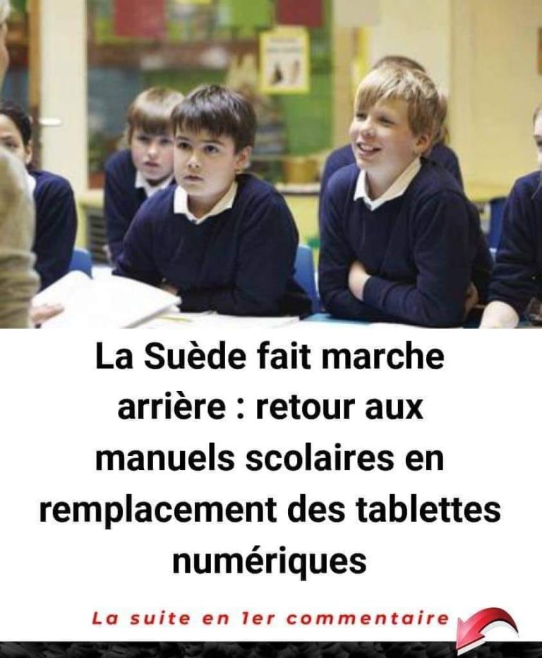 455720419 1842982986196685 6462699532491212663 N 768x932