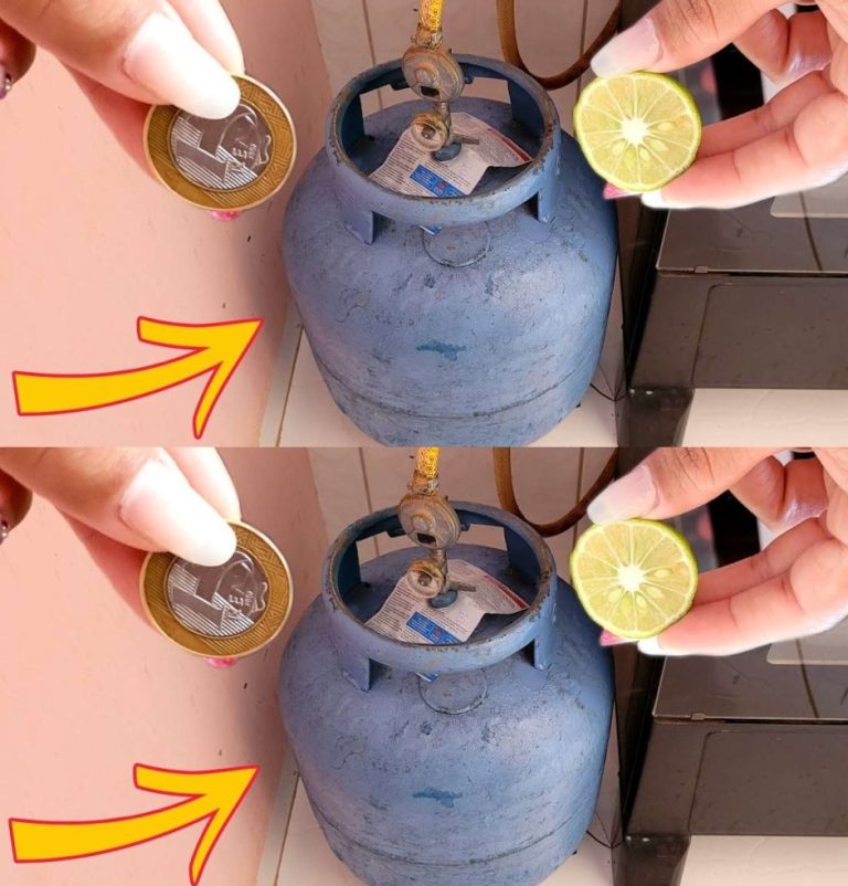 456041986 1190585335421627 5582614849301740749 N 768x802 (1)